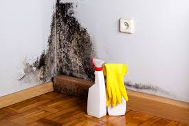 Best Commercial Mold Inspection in Battle Ground, IN